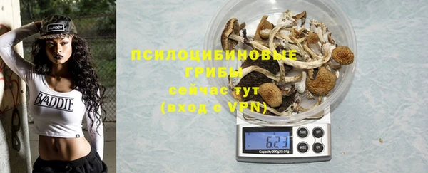 эйфоретик Алексин