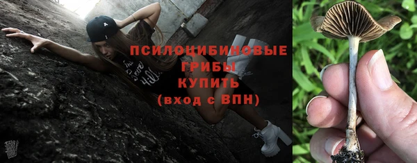 эйфоретик Алексин